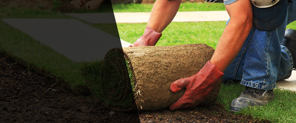 Hutto Landscapers